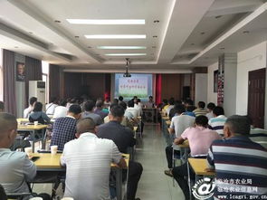 臨滄市甘蔗技術推廣站深入鳳慶糖業集團開展科技培訓與技術推廣服務